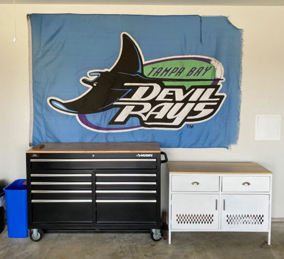 rays-globe-life-flag